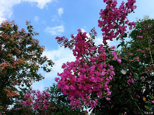 南京鼓勵建設單位推進全過程咨詢發(fā)包，專業(yè)服務引領(lǐng)建筑行業(yè)升級