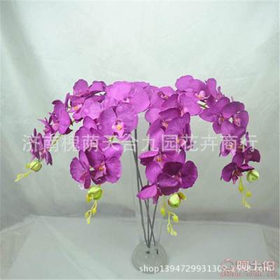濟南槐蔭天合九園花卉商行 蝴蝶蘭仿真花批發(fā)市場的新選擇
